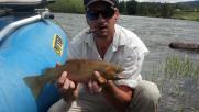 flyfishing the blackfoot river in montana